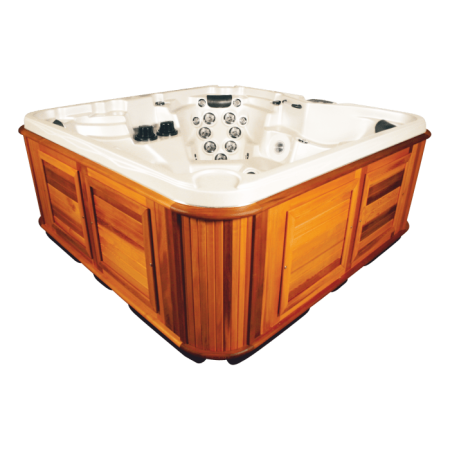 Спа бассейн Arctic Spa Summit SDS